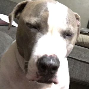 Meet your Posher, Kori